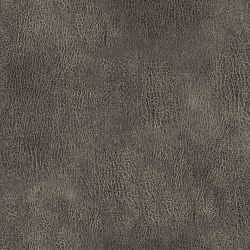 TEXAFUNG172-1585084675.jpg